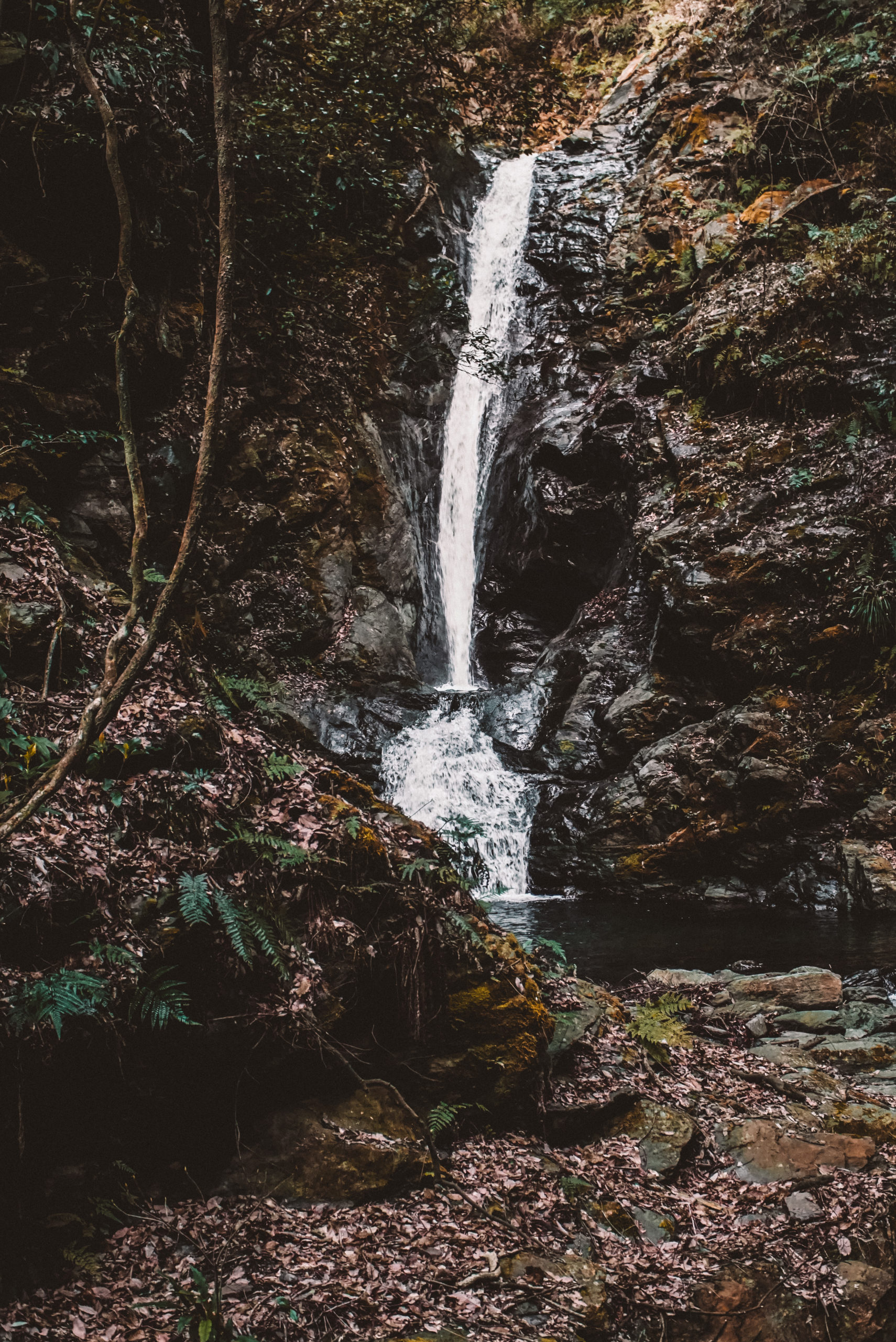 Waterfall in Saijo, Ehime