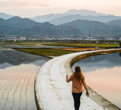 Person walking through rice field in Saijo, Ehime