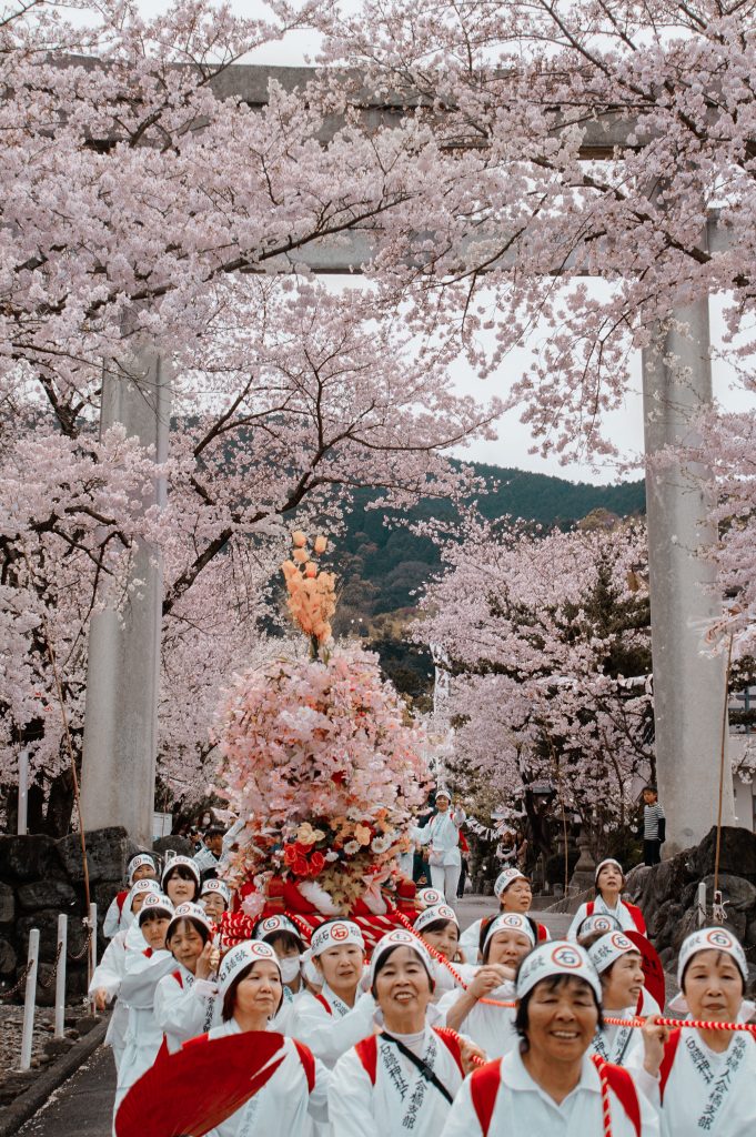 Sakura season in Saijo, Ehime