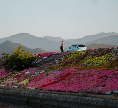 Ishizuchi Mountain and flower wall in Saijo, Ehime