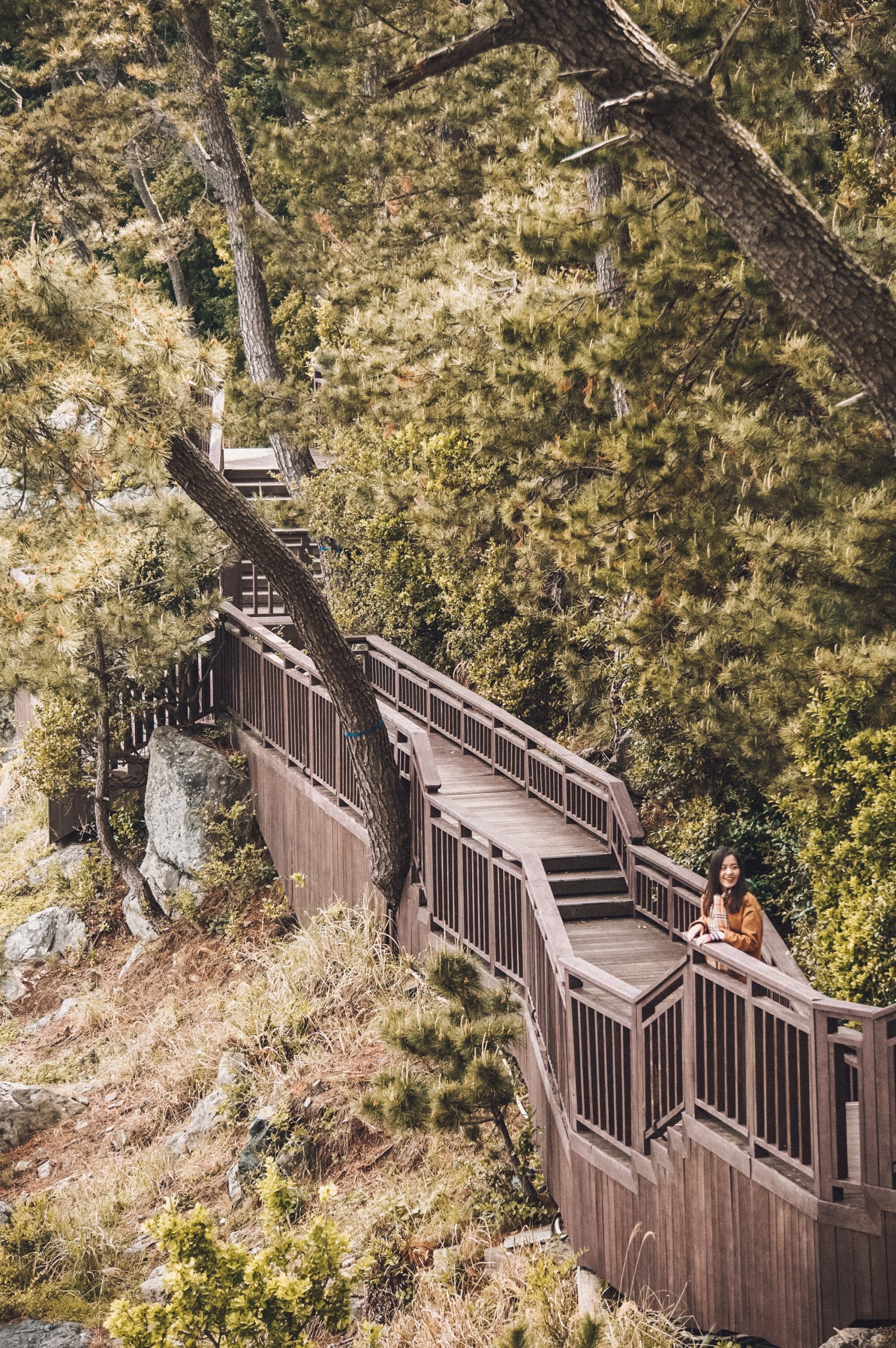 Dongbaek Island stairway