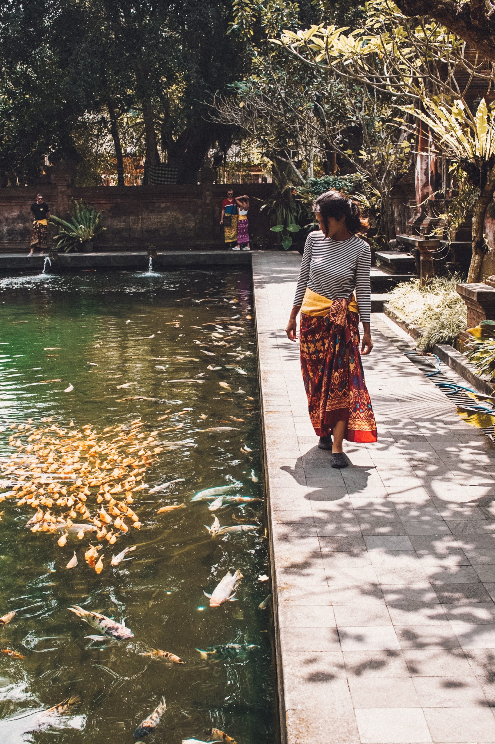 Pura Tirta Empul fish pond in Ubud, Bali