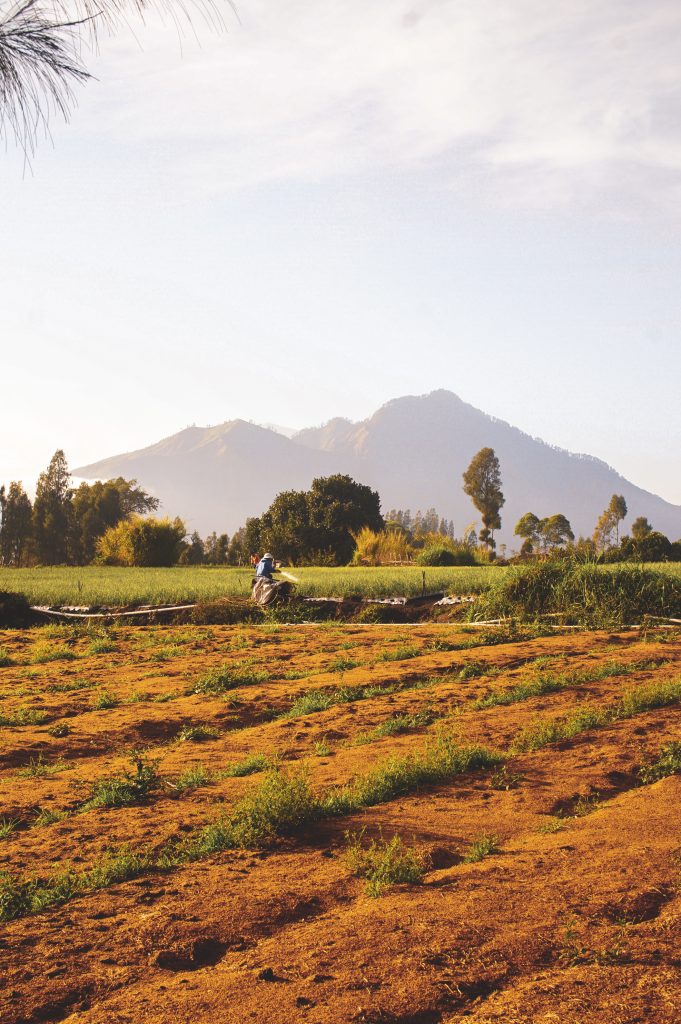 Mount Batur Sunrise Tour Bali